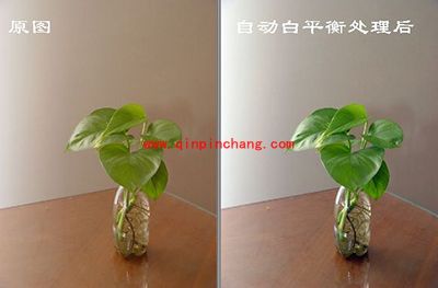 光影魔术手之白平衡校正介绍