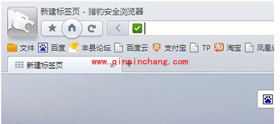 猎豹浏览器查看历史记录图文教程