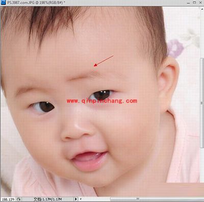 PS羽化工具的使用教程图解