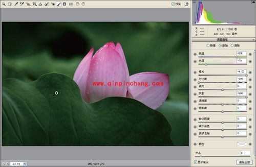 新手入门：如何用PS简单把荷花照片暗部区域调亮