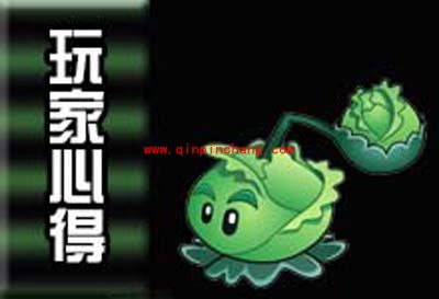 新植物大战僵尸：打海鸥加农炮之战的必胜秘诀