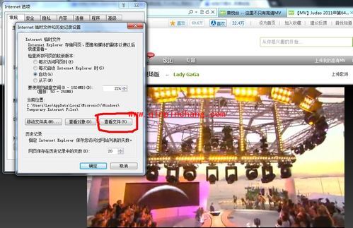 超赞网页视频下载工具的使用方法