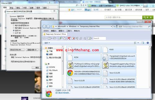 超赞网页视频下载工具的使用方法