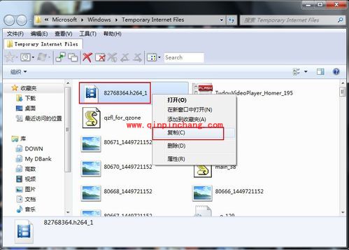 超赞网页视频下载工具的使用方法