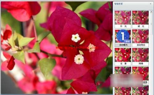 可牛影像图片后期处理之添加文字边框