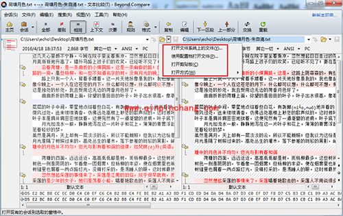 Beyond Compare 4文本比较要注意哪些细节