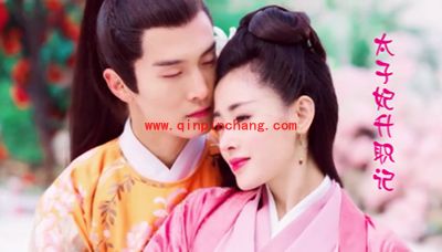 太子妃升职记甜蜜无限 会声会影带你领略