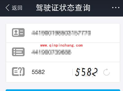 支付宝查询驾照扣分记录方法