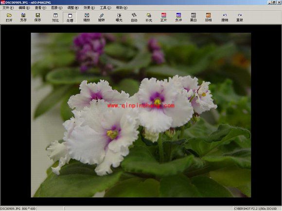 光影魔术手色阶的定义及使用方法介绍
