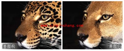 美图秀秀消除笔 水印、痘痘去无踪