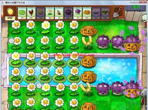 植物大战僵尸8、9、10格道具的爆屏刷法