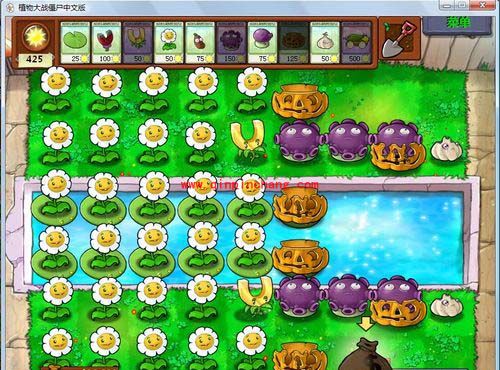 植物大战僵尸8、9、10格道具的爆屏刷法