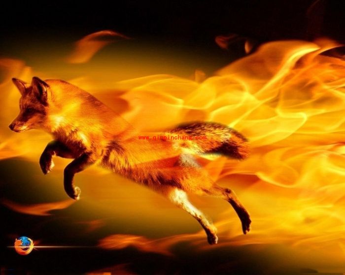 Firefox等浏览器数据深度备份