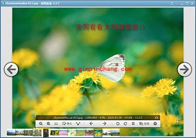 春花烂漫，美图看看完美还原单反照片