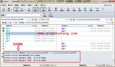 Beyond Compare日志面板详解