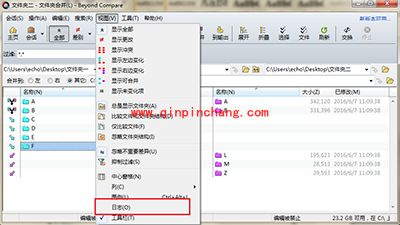 Beyond Compare日志面板详解
