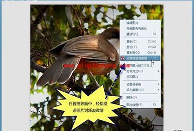 So easy！美图看看一键分享到微博