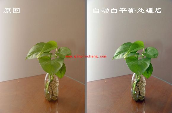 光影魔术手白平衡校正的方法介绍