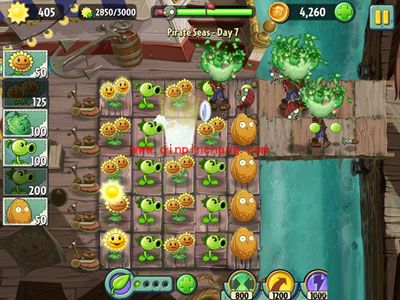 植物大战僵尸2:全面介绍向日葵升级诀窍