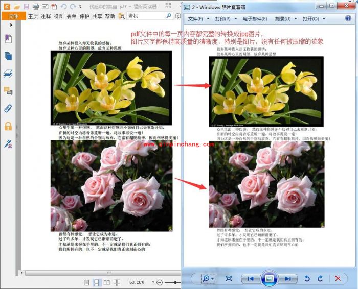 pdf转换成jpg格式的教程
