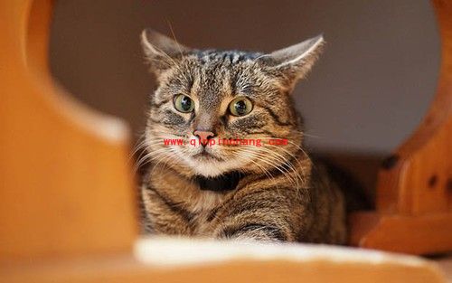 摄影教程：摄影爱好者容易犯的七大失误