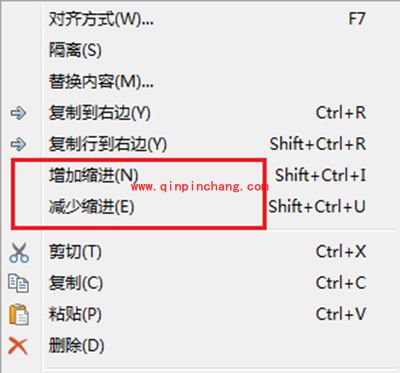 Beyond Compare文本比较行缩进设置方法