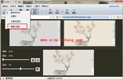 Beyond Compare比较会话隐藏工具栏教程
