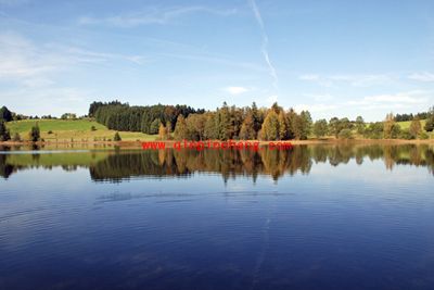 如何使用PS来模拟红外线摄影呢