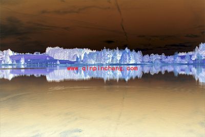 如何使用PS来模拟红外线摄影呢