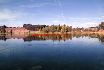 如何使用PS来模拟红外线摄影呢