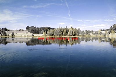 如何使用PS来模拟红外线摄影呢