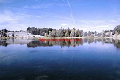 如何使用PS来模拟红外线摄影呢