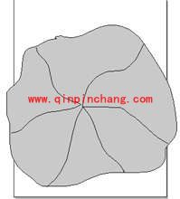 Freehand教程之“图形水管”工具玩图案播洒