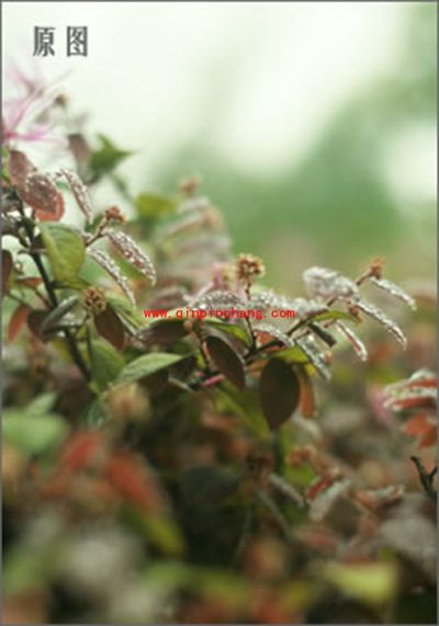 彩影制作浪漫梦境效果教程