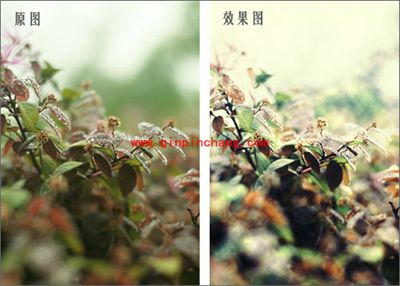 彩影制作浪漫梦境效果教程