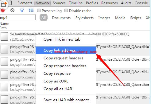 别样下载网页视频的详细教程