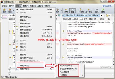 Beyond Compare怎么转换文件?