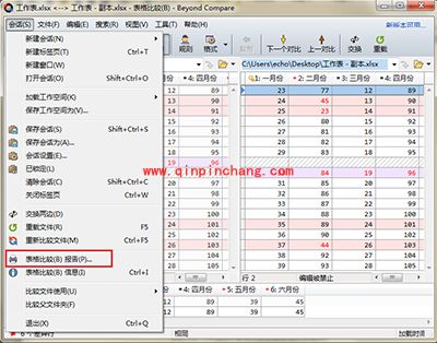 Beyond Compare生成表格比较报告方法