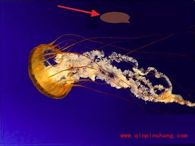 用picpick将不协调的颜色去掉的方法