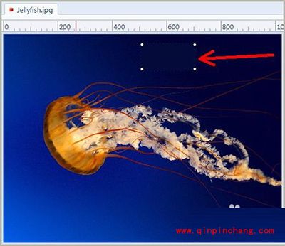 用picpick将不协调的颜色去掉的方法