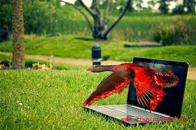 五步提升Photoshop运行速度