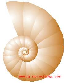 Freehand教程之&ldquo;威力复制&rdquo;绘制螺旋图案