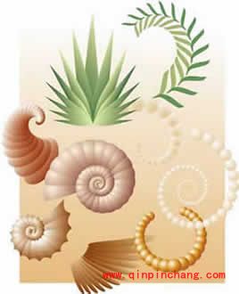 Freehand教程之&ldquo;威力复制&rdquo;绘制螺旋图案