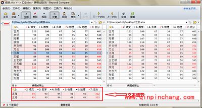 Beyond Compare隐藏和显示文本细节方法