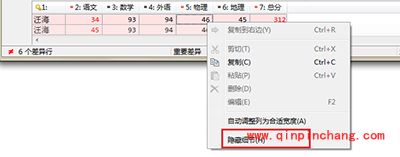 Beyond Compare隐藏和显示文本细节方法