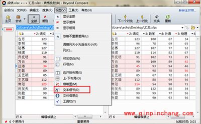 Beyond Compare隐藏和显示文本细节方法
