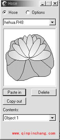FreeHand教程之设计荷花
