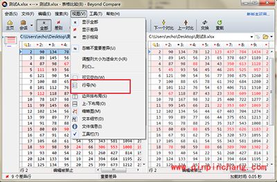 Beyond Compare比较表格数据显示行号方法