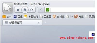 猎豹浏览器用户浏览历史记录怎么查？