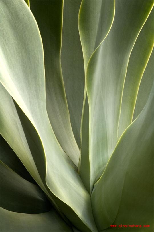 巧用PS进行调色